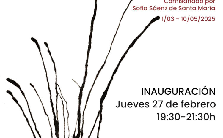 INAUGURACIÓN ÁNIMA